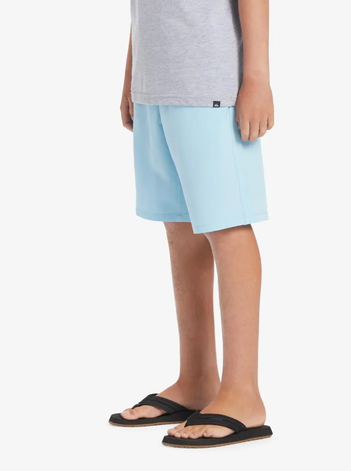 Boys Quiksilver Shorts Boy039s 816 Ocean Elastic 18034 Amphibian Boardshorts Sky Blue Boys Quiksilver Shorts Boy039s 816 Ocean Elastic 18034 Amphibian Boardshorts Sky Blue