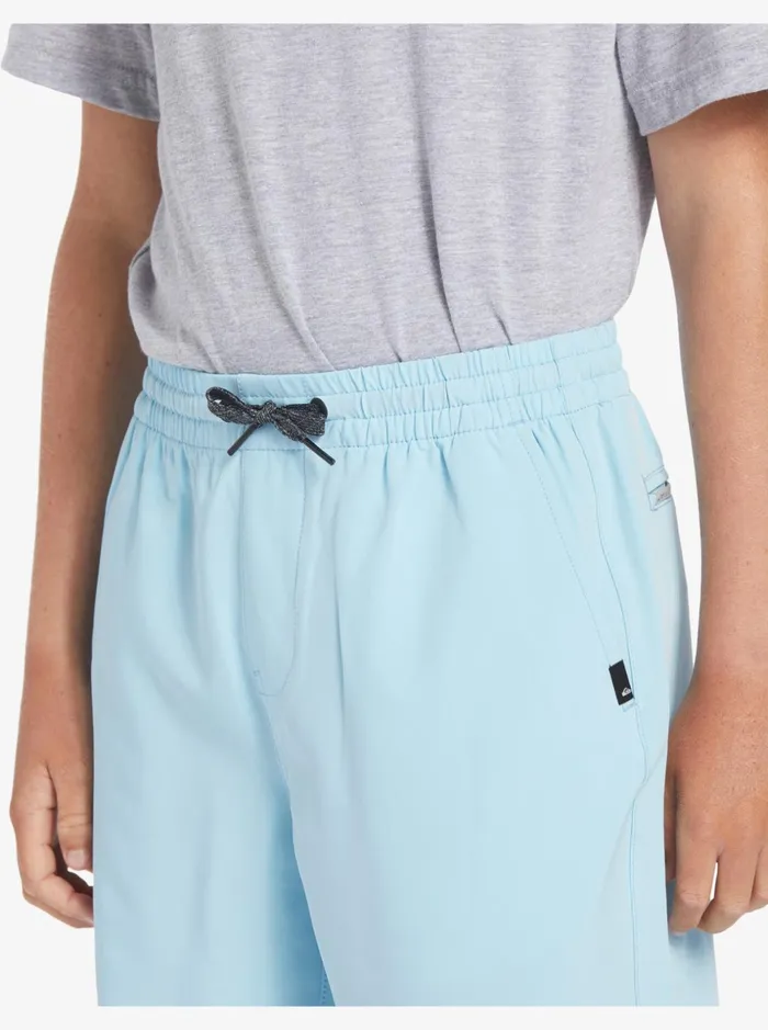 Boys Quiksilver Shorts Boy039s 816 Ocean Elastic 18034 Amphibian Boardshorts Sky Blue Boys Quiksilver Shorts Boy039s 816 Ocean Elastic 18034 Amphibian Boardshorts Sky Blue