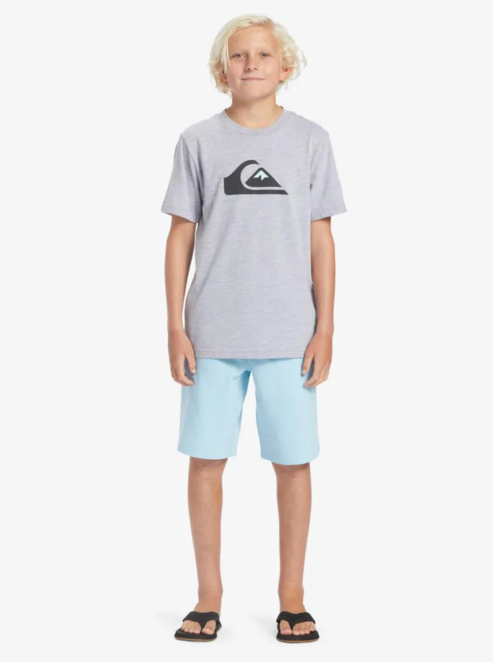 Boys Quiksilver Shorts Boy039s 816 Ocean Elastic 18034 Amphibian Boardshorts Sky Blue Boys Quiksilver Shorts Boy039s 816 Ocean Elastic 18034 Amphibian Boardshorts Sky Blue