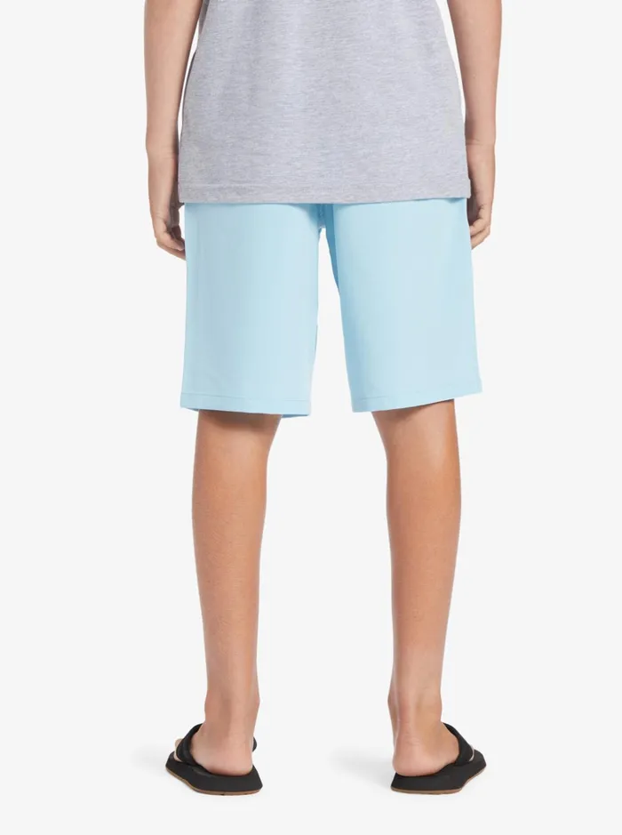 Boys Quiksilver Shorts Boy039s 816 Ocean Elastic 18034 Amphibian Boardshorts Sky Blue Boys Quiksilver Shorts Boy039s 816 Ocean Elastic 18034 Amphibian Boardshorts Sky Blue