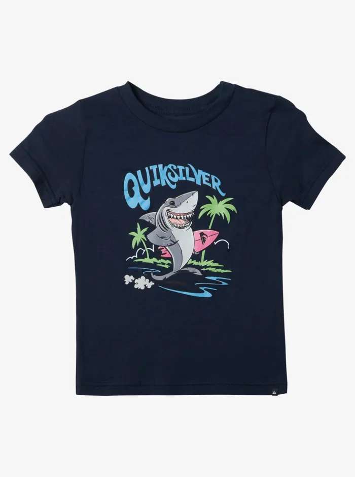 Boys Quiksilver Tees Boy039s 27 Washed Out TShirt Navy Blazer