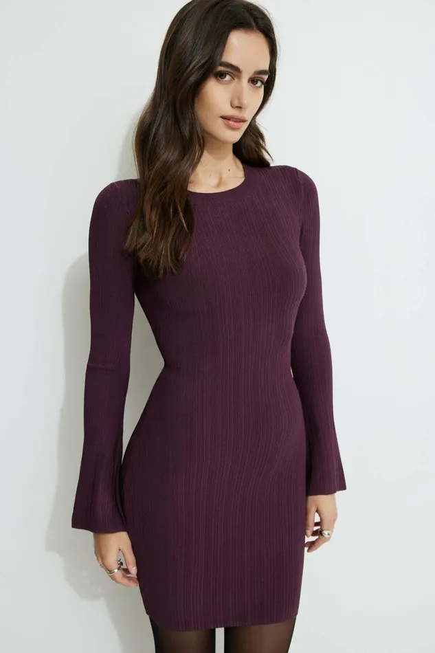 Dynamite Dresses and Jumpsuits Women Ribbed Crewneck Mini Dress Burgundy