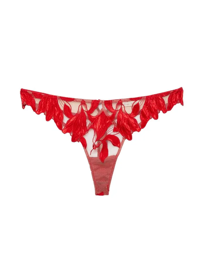 Fleur Du Mal Thongs Women Lily Embroidery Hipster Thong Rouge Velvet Fleur Du Mal Thongs Women Lily Embroidery Hipster Thong Rouge Velvet