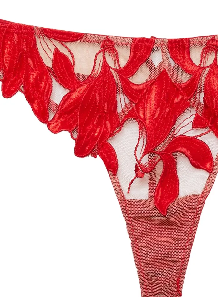 Fleur Du Mal Thongs Women Lily Embroidery Hipster Thong Rouge Velvet Fleur Du Mal Thongs Women Lily Embroidery Hipster Thong Rouge Velvet