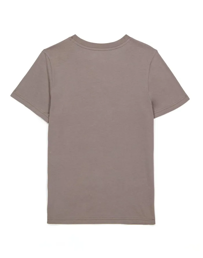 Little Kids039 ShortSleeve TShirt Script Logo Sandalwood Grey Kids Champion TShirts