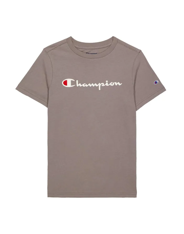 Little Kids039 ShortSleeve TShirt Script Logo Sandalwood Grey Kids Champion TShirts