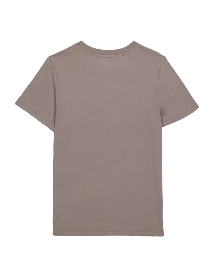 Little Kids039 ShortSleeve TShirt Script Logo Sandalwood Grey Kids Champion TShirts