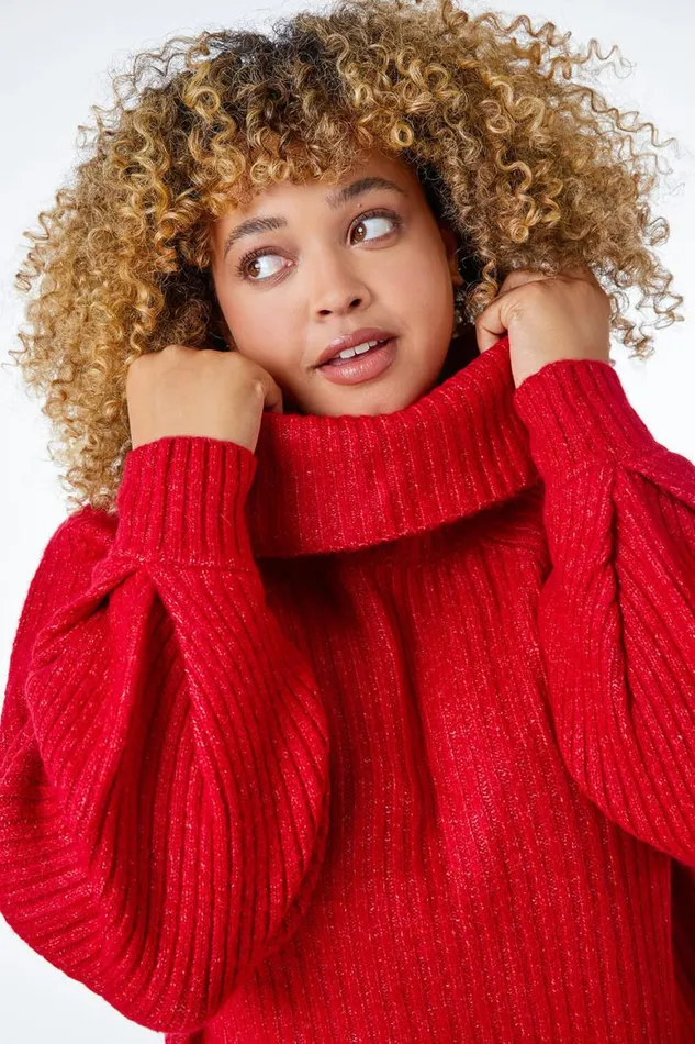 Women Bordeaux Curve Longline Turtle Neck Jumper Roman Knitwear